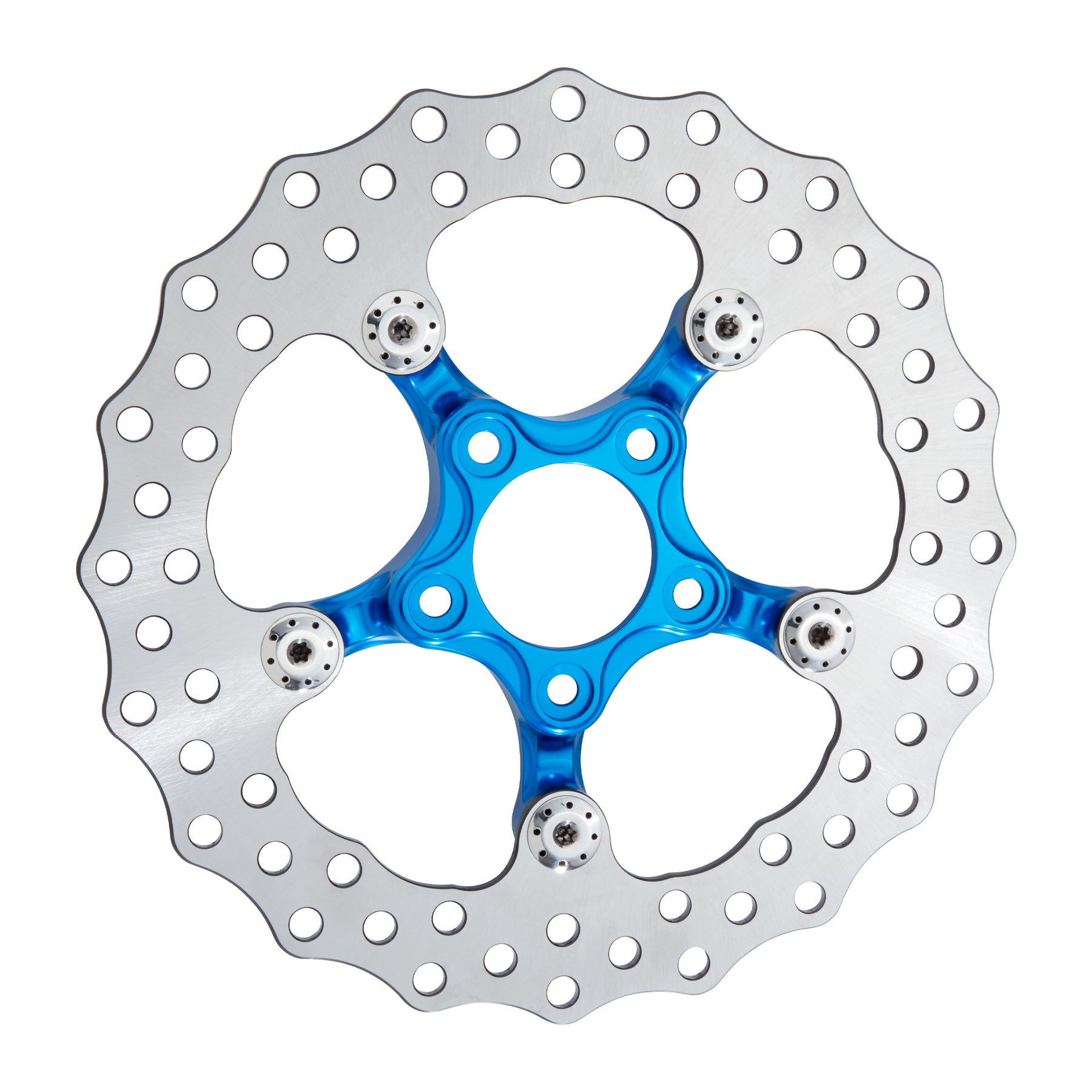 Spider Brake Rotor, Blue