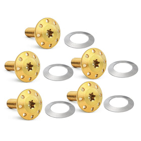 Titanium Floating Rotor Bolts, '14-'23 FLT / Gold